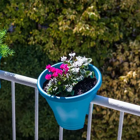 Ema 2br Apt. In Old Town Centre Daire *